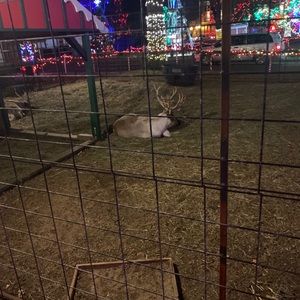 Meet your Posher, Chloe